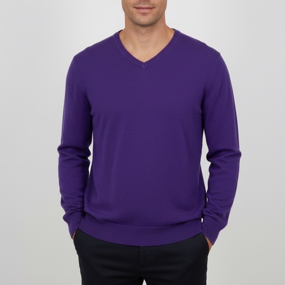 BAON Mens V Neck Long Sleeve Sweater Size S Purple Casual Knit Top‎